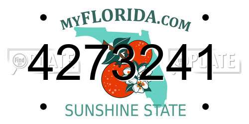 4273241 Florida License Plate