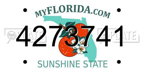 4273741 Florida License Plate