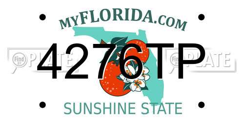 4276TP Florida License Plate