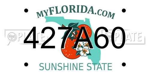 427A60 Florida License Plate