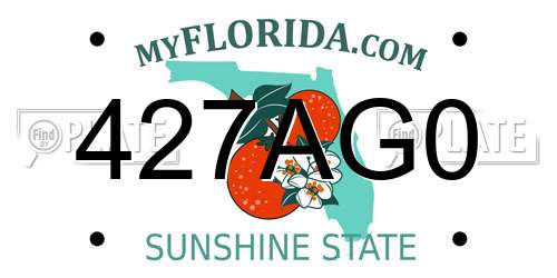 427AG0 Florida License Plate