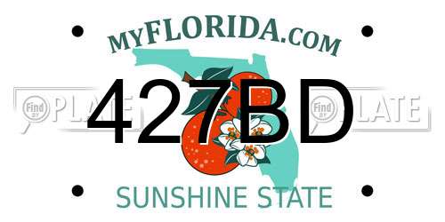 427BD Florida License Plate