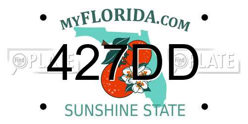 427DD Florida License Plate
