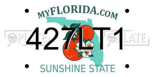 427LT1 Florida License Plate