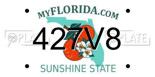 427V8 Florida License Plate
