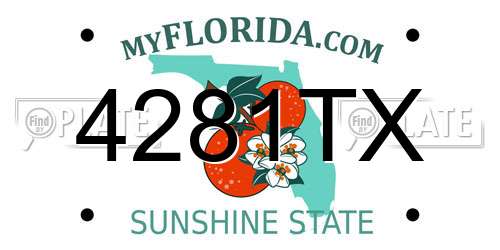 4281TX Florida License Plate