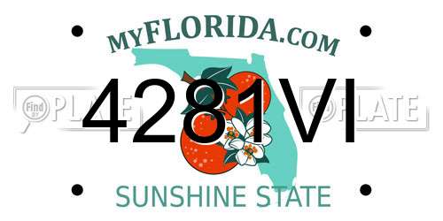 4281VI Florida License Plate