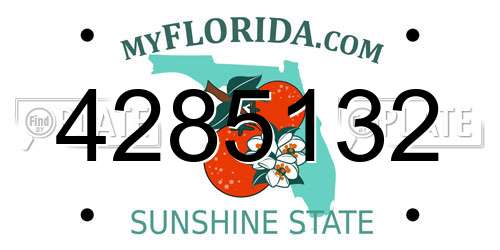 4285132 Florida License Plate