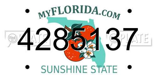 4285137 Florida License Plate