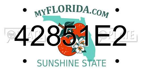 42851E2 Florida License Plate