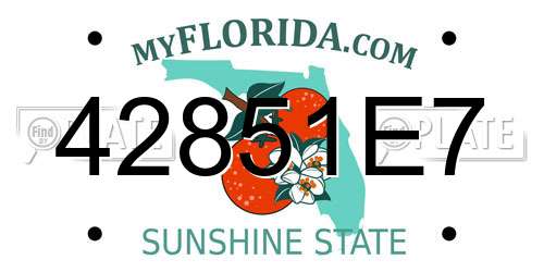 42851E7 Florida License Plate