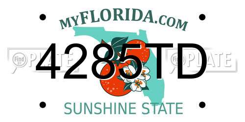 4285TD Florida License Plate