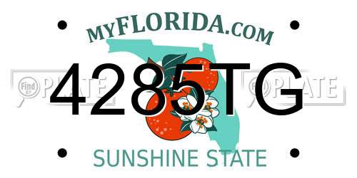4285TG Florida License Plate