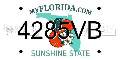 4285VB Florida License Plate