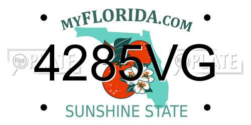 4285VG Florida License Plate