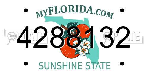 4288132 Florida License Plate