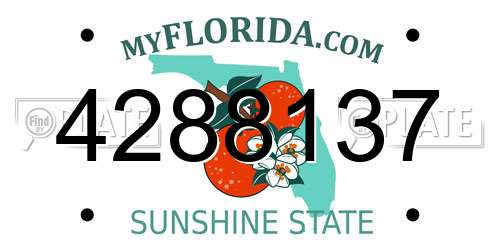 4288137 Florida License Plate