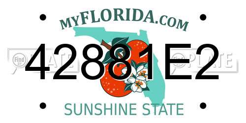 42881E2 Florida License Plate