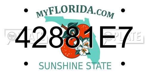 42881E7 Florida License Plate