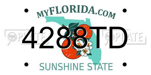 4288TD Florida License Plate