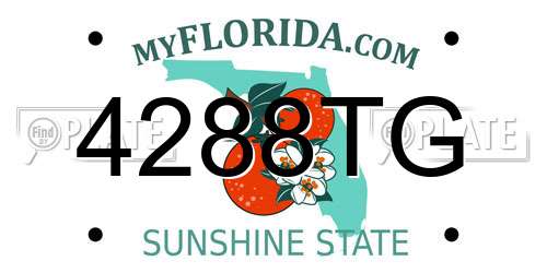 4288TG Florida License Plate