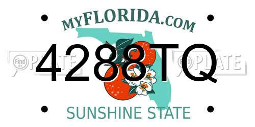 4288TQ Florida License Plate