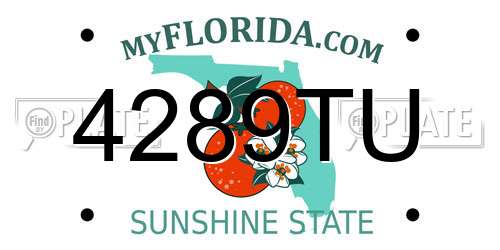4289TU Florida License Plate