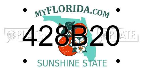 428B20 Florida License Plate