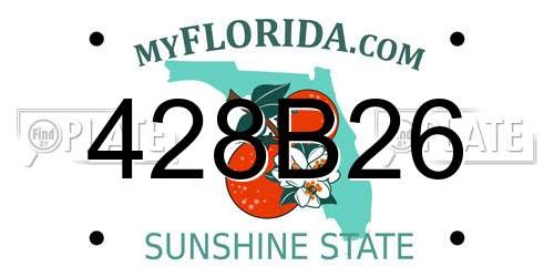 428B26 Florida License Plate