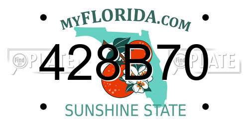 428B70 Florida License Plate