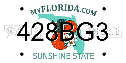 428BG3 Florida License Plate