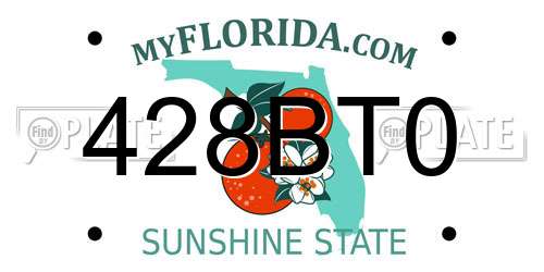 428BT0 Florida License Plate