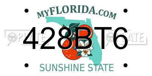 428BT6 Florida License Plate