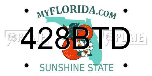 428BTD Florida License Plate