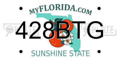 428BTG Florida License Plate