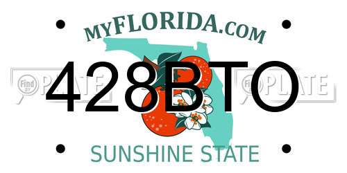 428BTO Florida License Plate