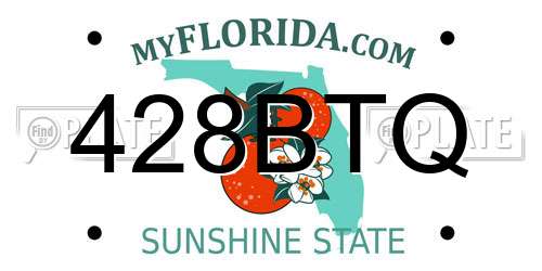 428BTQ Florida License Plate