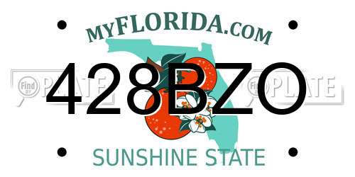 428BZO Florida License Plate
