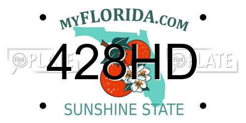 428HD Florida License Plate