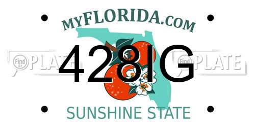 428IG Florida License Plate