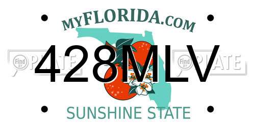 428MLV Florida License Plate