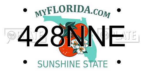 428NNE Florida License Plate