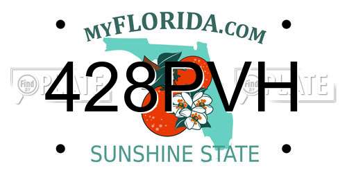428PVH Florida License Plate