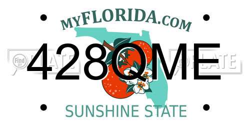 428QME Florida License Plate