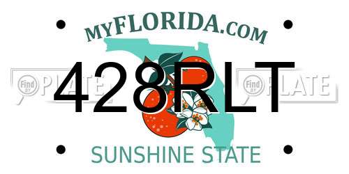 428RLT Florida License Plate