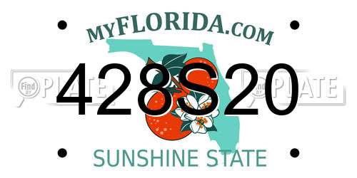 428S20 Florida License Plate