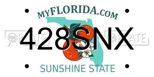428SNX Florida License Plate