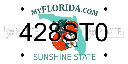 428ST0 Florida License Plate