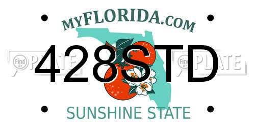 428STD Florida License Plate