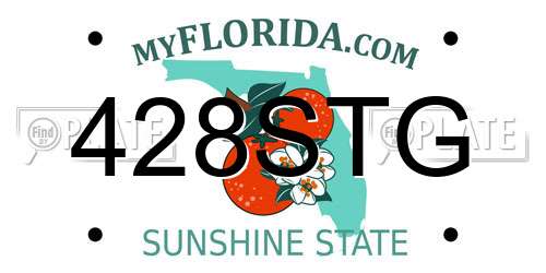 428STG Florida License Plate